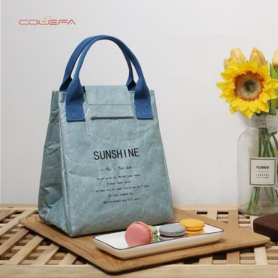 Custom Picnic Bag for Office Workers & Elementary Students Waterproof Thickened Japanese-Style DuPont Paper Insulated Lunch Bag