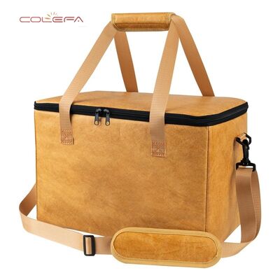 Borsa isotermica per barbecue in carta DuPont/Tyvek direttamente dalla fabbrica con apertura a cerniera, grande capacità per conservare carne e bevande